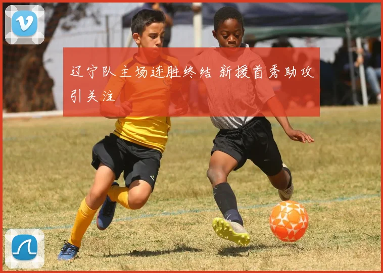 辽宁队主场连胜终结 新援首秀助攻引关注