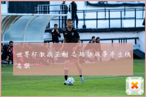 世界杯激战正酣 各路劲旅争夺出线名额