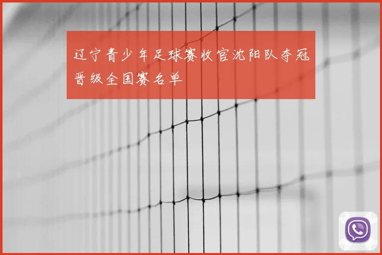 辽宁青少年足球赛收官沈阳队夺冠晋级全国赛名单