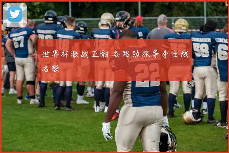 世界杯激战正酣 各路劲旅争夺出线名额
