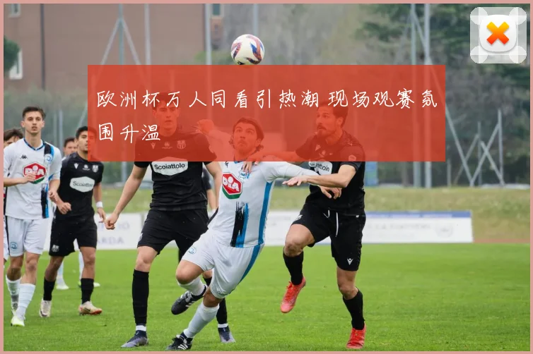 欧洲杯万人同看引热潮 现场观赛氛围升温